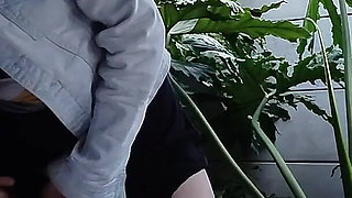 Zippy Nippy