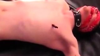 Twink's Delivery: Bound to Cum