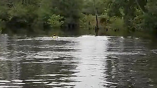 Lifejacket & Cosy Wetsuit Saves Lucy From River Disaster