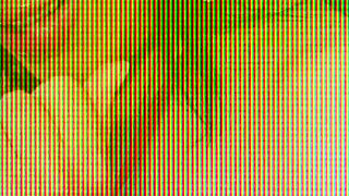 Nicole Doshi Cock Sucker