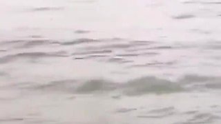 My Girlfriend's Friend Doesn't Control Herself During Outdoor Beach Hardcore Fuck
