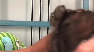 Extreme deepthroat fuck with young 18y teen slut