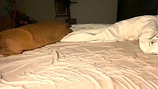 Thorriandjax - Masturbating In Bed And Anal With Dildo