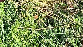 Horny Inked Punk Slut Meets Two Hung Lads on a Walk and Lets Them Use Her Holes Like a True Dogging Slut