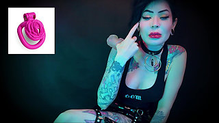 Wear the Clitty Chastity for a Month Let's Shrink Your Leftover Shrimp Locktober Shrinking