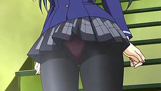 Animation NTR