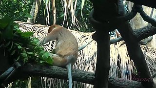 Perfect Vacation - POV P4PI 34