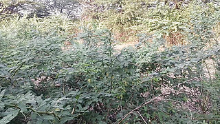 Desi indian Marathi kavita bhabhi blowjob and cum in mouth in saree in jungle with Tatya