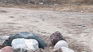 A Compilation of Public Pissing and Creampies in Nature! Road Trip! POV!