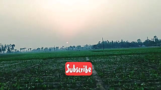 Bangladeshi Romantic Story taltking