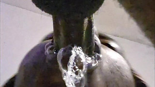 Perfect Blowjob