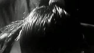 Trailer 382