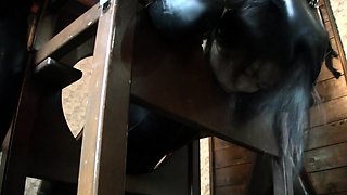 Amateur Asian Japanese Anal Creampie