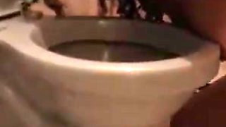 Dirty camgirl drinks from toilet