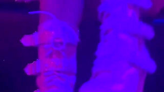 Cute Fit Stripper Dance in Club with High Heel Boot Fetish Focus