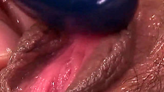 It Was Practice Time, but This Female Looked Hungry for a Hard.