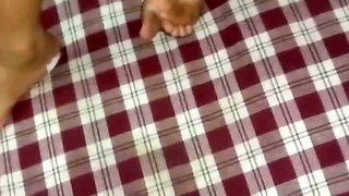 Maid Cook Housh Sexy Handjob