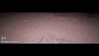 Fucks Shadow Dimitri On A Private Beach
