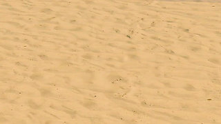 Ep6: Fucking Nikki in the Backstage - Grand Tits Adventure (gameplay)