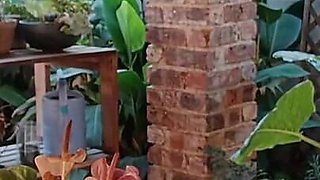 Fucking My Neighbours Wife Outdoor on the Patio