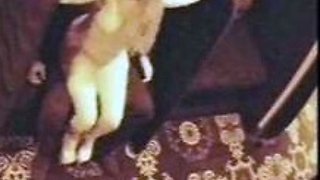Strippers dance in the semi private room