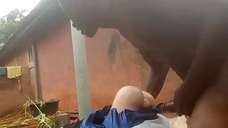 Big Cock Pounds Shaved Pussy - Bangcum3 Fucks Tight Doll