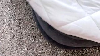 Hot blonde glamour babe solo plays to pleasure her hot body