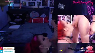 Bunny is Wild