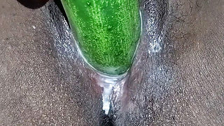 Hot Saira bhabhi masturbated with brinjal and cucumber in her chute.