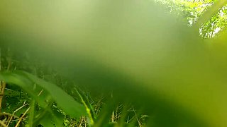Malayali Couple Wild Outdoor Sex in Forest - Desi Village MMS 4K