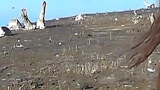 Amateur Latina Flashing Pussy and Ass River Bank