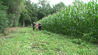 Absolute BDSM - Anal Destroyed and Deeply Inseminated