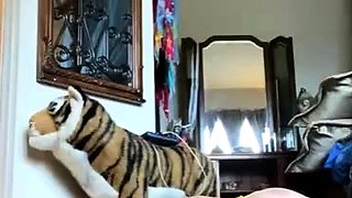 Heidi Lee Bocanegra Yellow Bikini Nude Haul Tease Video