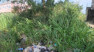 Two Lovers Traveling by Road Decided to Fuck in the Bush When There Bus Has Issued