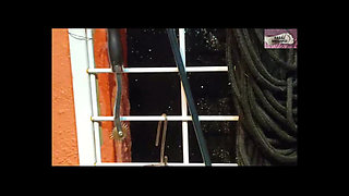 Spanking Made by Crossdresser