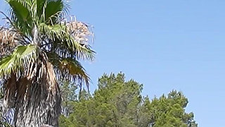 The Perverted "mallorca" Real Estate Agent