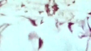 Vintage porn retro erotic theatre my hometown