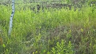 Amazing outdoor asshole fuck with some lube