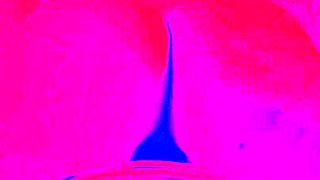Riderqueen in Toilet for Fans