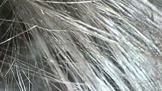 Brunette Slut Gives Blowjob To Big Cock Outdoors