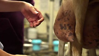 Aurora and Francesco's well-thought-out getaway - Jacquie et Michel TV