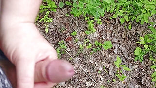 A Friend Sucks My Dick in a Park and Swallows Cum