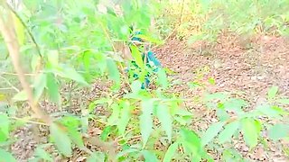 Village bhabhi jungle me mangal xxx video