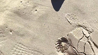 I Love the Sea and the Sun