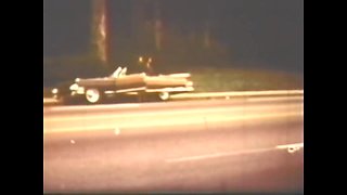 Vulgar Capricious Pig