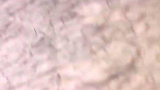 Saudia Wife Big Ass Hard Cock Black