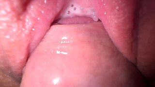 Close-Up of Stepsister's Pink Pussy Taking It to Creampie