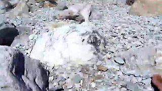 Amateur hot brunette fucked hard 2 mp4