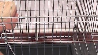 Blonde haired teen has never had a black dick before and now shes getting broken in for the first time