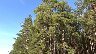 Walk Fishnet Bodystocking